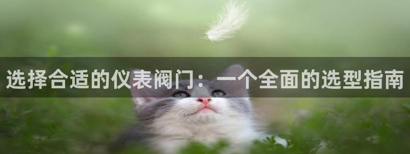 云顶集团gentinggroup