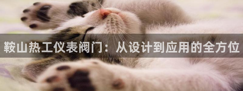 云顶最新公告
