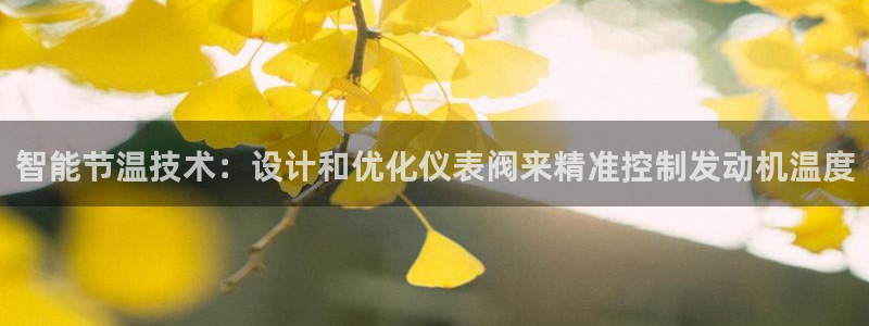 云顶国际百度百科下载