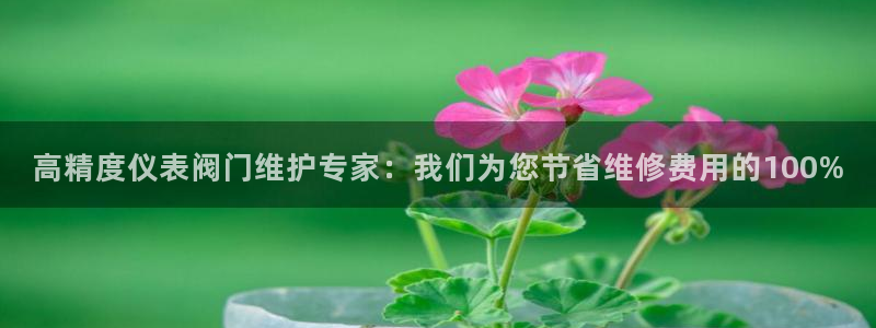 云顶国际账号怎么登录不了微信