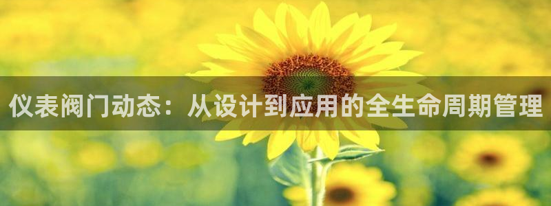 yd2333云顶电子