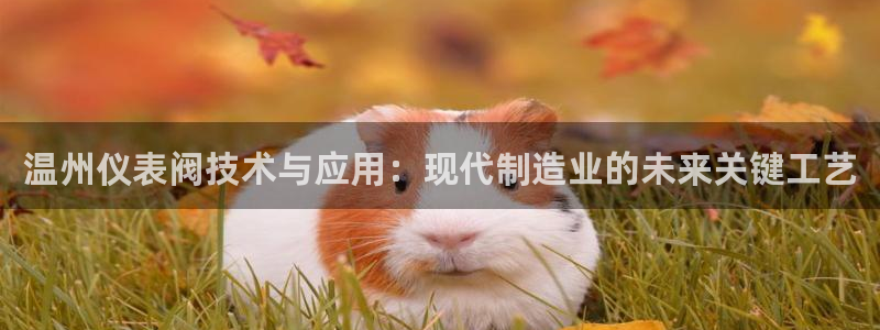 云顶游戏网址