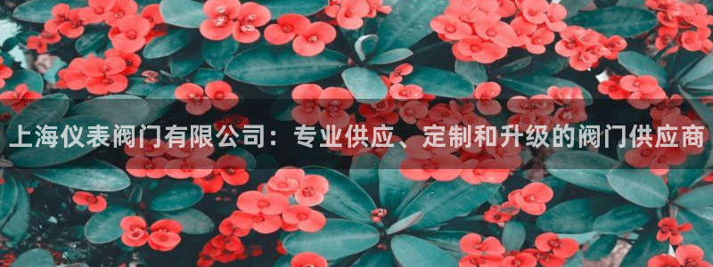 云顶集团GM