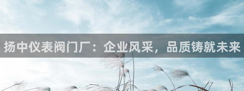 云顶集团有限公司简介地址
