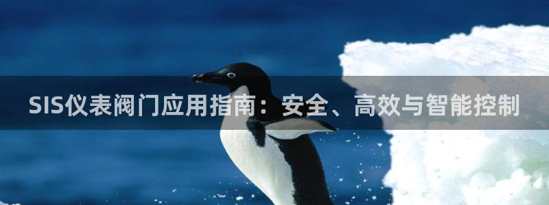 云顶集团林志华简介