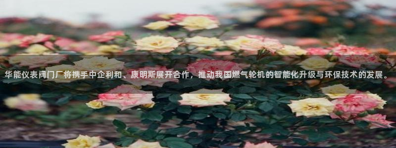 云顶国际官网官方客服