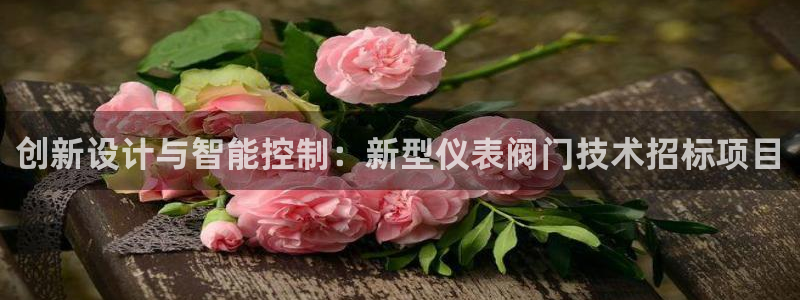 云顶国际服修改不了传说装备