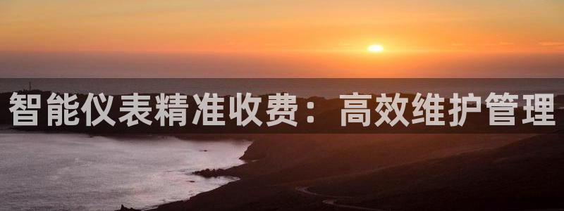 云顶国际服阵容