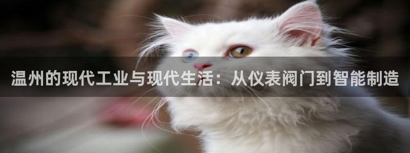 云顶t00