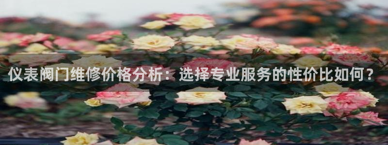 云顶国际会所怎么样