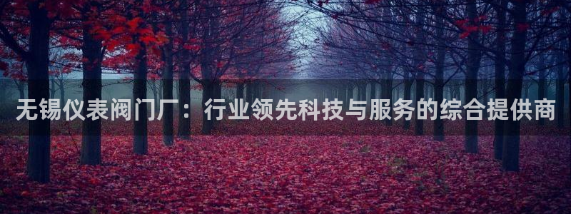 云顶国际是做什么的公司