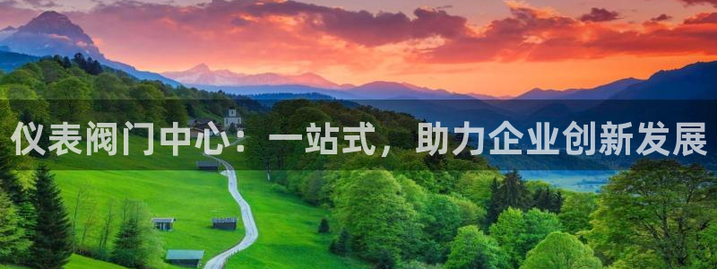云顶国际服名字不可用