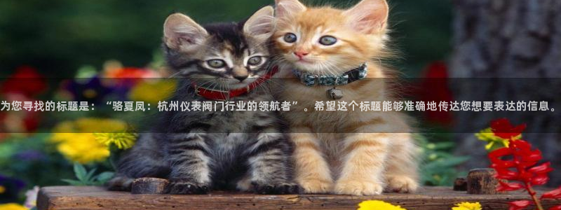 云顶国际大酒店位于哪里