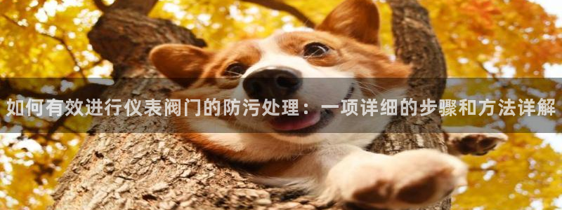 云顶国际高中学费多少一年