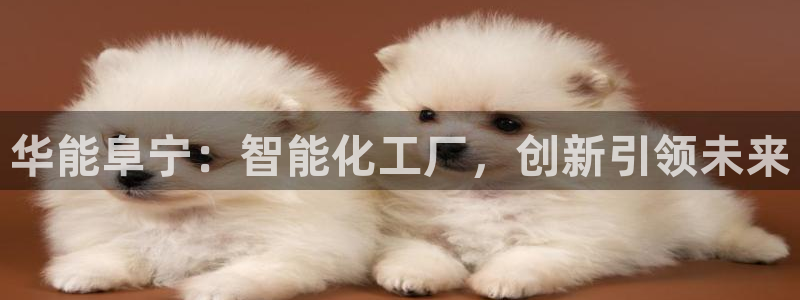云顶国际app官方下载安装手机版