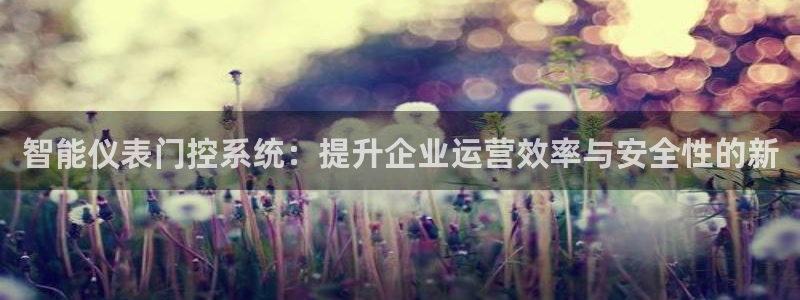 云顶集团中国分公司