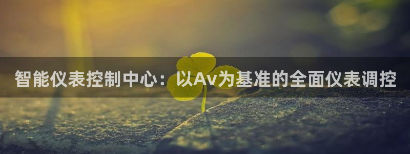 云顶国际电子游戏怎么玩