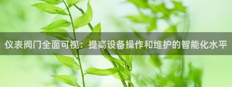 云顶国际网站2713366
