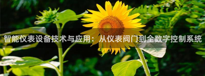 云顶国际提现多久到账啊