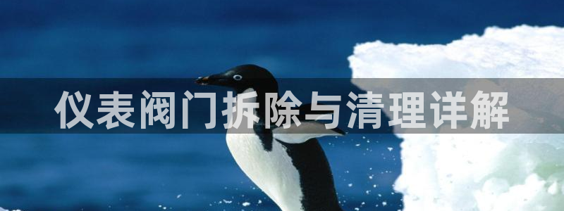 云顶国际服mac汉化