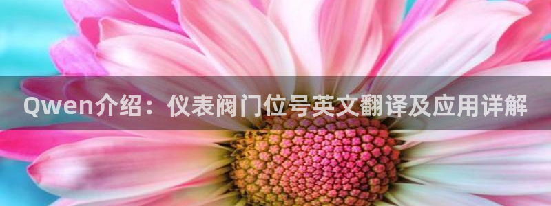 云顶国际平台游戏可靠吗