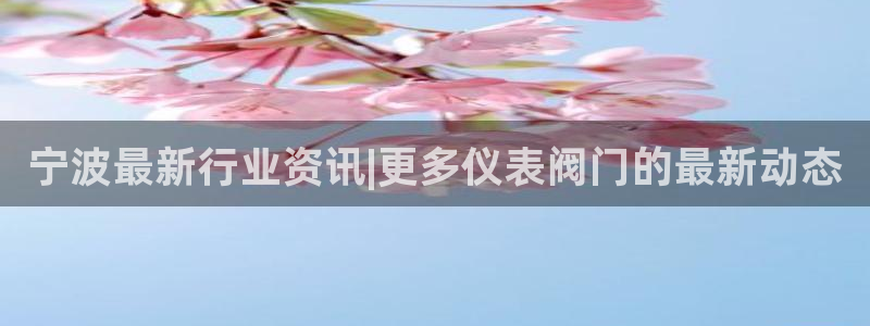 云顶讲解