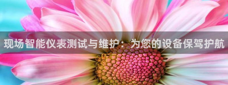 云顶国际高中