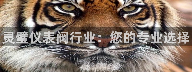 云顶集团是真实的吗