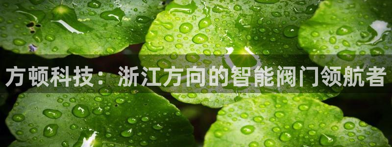 云顶国际官网唯一官方网站
