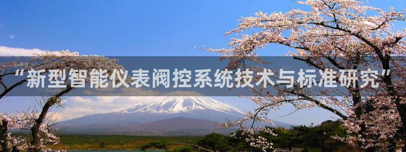 云顶集团中国区总裁