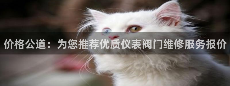 云顶国际官方网站下载安装