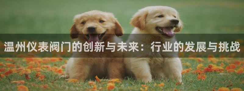 云顶国际公馆是公寓吗