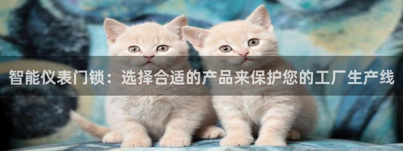云顶国际yd333团体官网