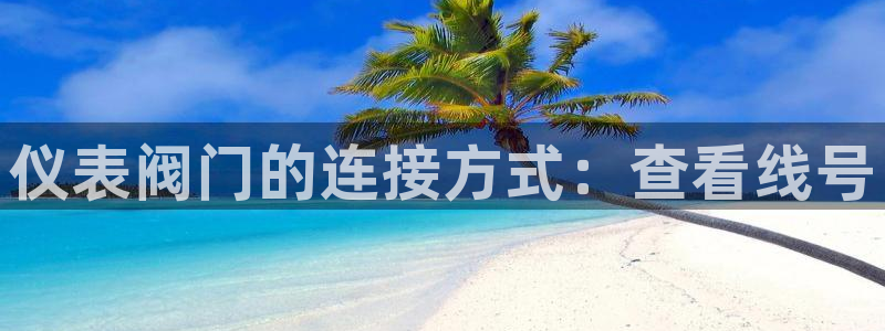 云顶国际高中学费多少钱一年