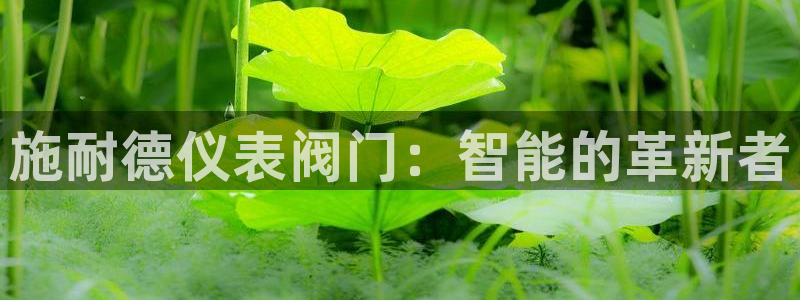 云顶国际城手机网址