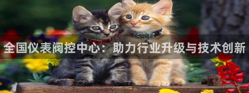 云顶国际app官方网站