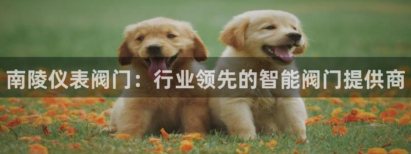 云顶集团在哪上市