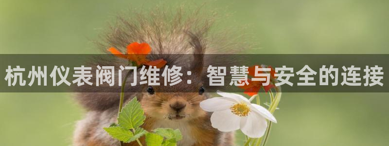 云顶国际平台游戏可靠吗