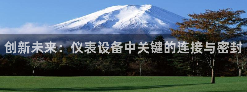 云顶国际平台游戏