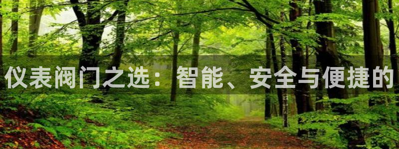 云顶国际服在哪下载