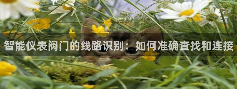 云顶国际商业广场可以充电动车吗