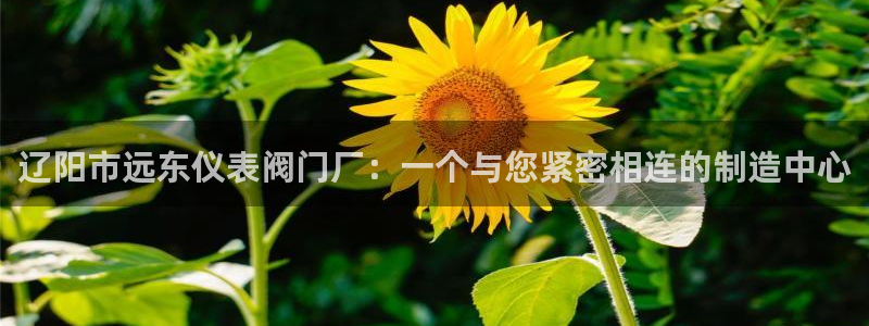 云顶国际服什么时候更新赛季