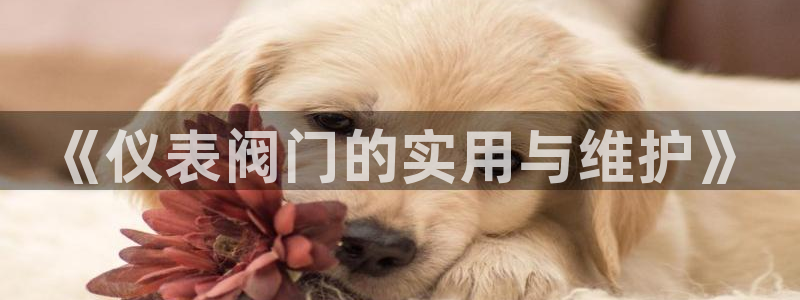 云顶游戏官网网址