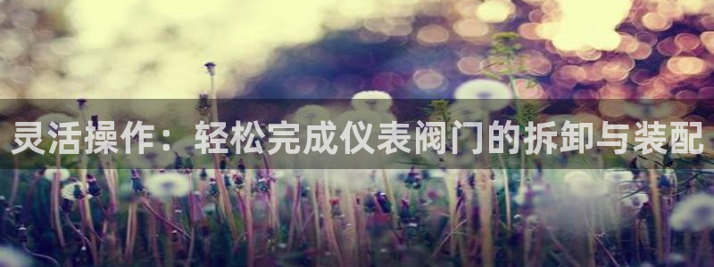 云顶国际晟荣协会