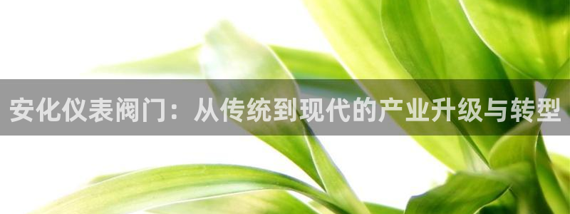 云顶线路检测 官方网站