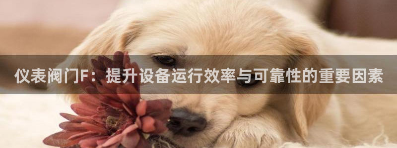 云顶国际太原店怎么样