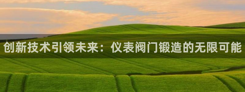 云顶集团有限公司简介图片