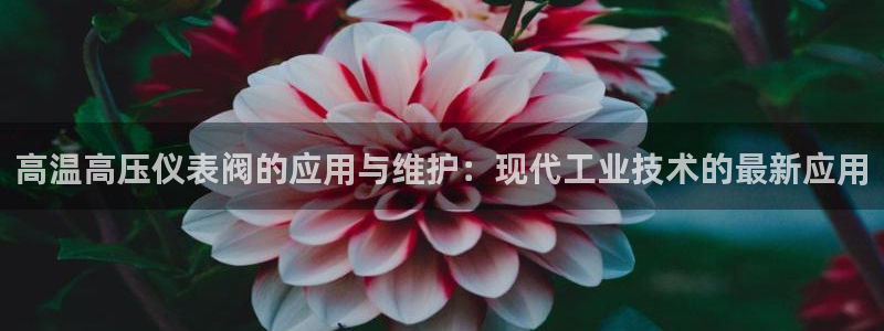 云顶国际是正规游戏吗安全吗