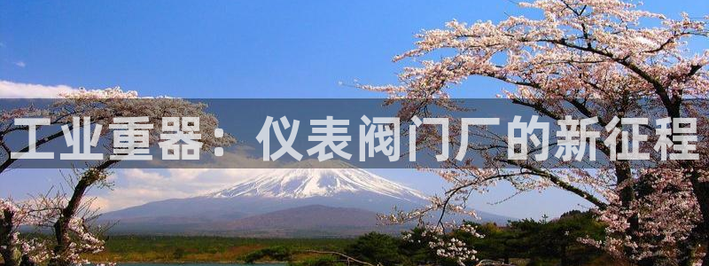 云顶电竞app怎么样