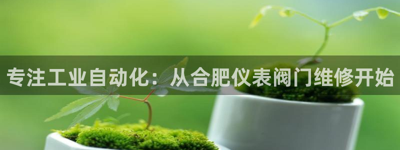 云顶国际网站2713366